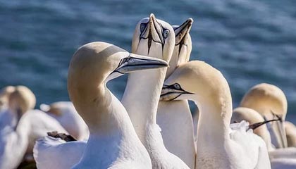 九游网-广东日之泉主场迎战济南鲁能，双方都渴望胜利的到来！，广州日之泉有限公司