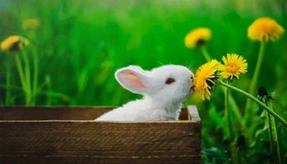 随机摩洛哥队在巴黎奥运会男足比赛中展现出高效的传球配合，摩洛哥足球队主力