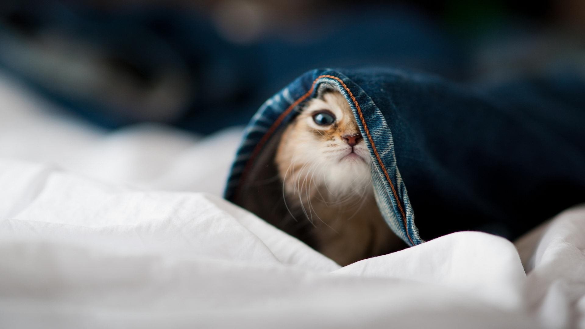 背后故事：那些让人动容的比赛背后故事，大赛背后的故事