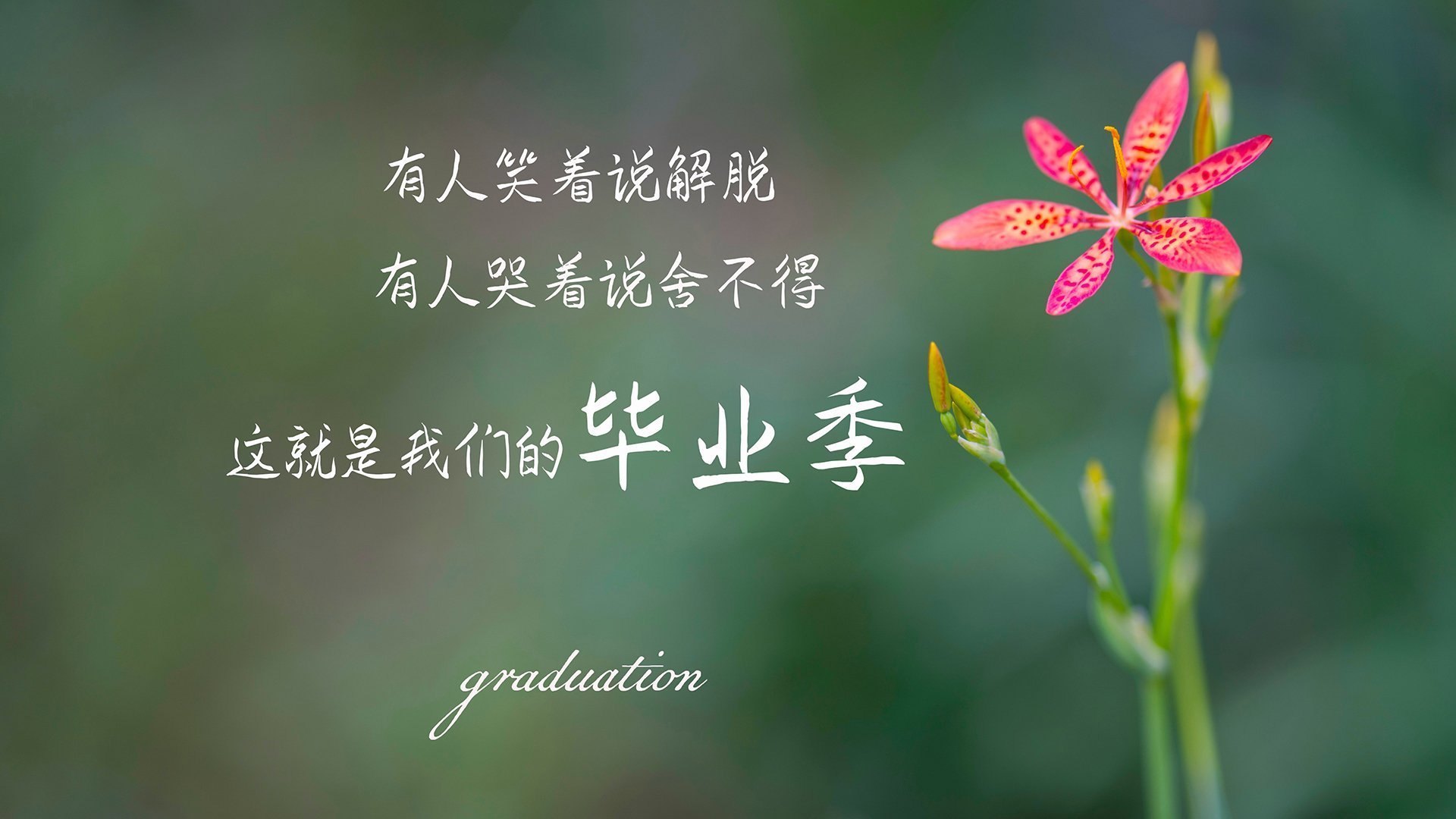 随机中国篮球运动赛事安全保障体系，中国篮球竞赛制度改革