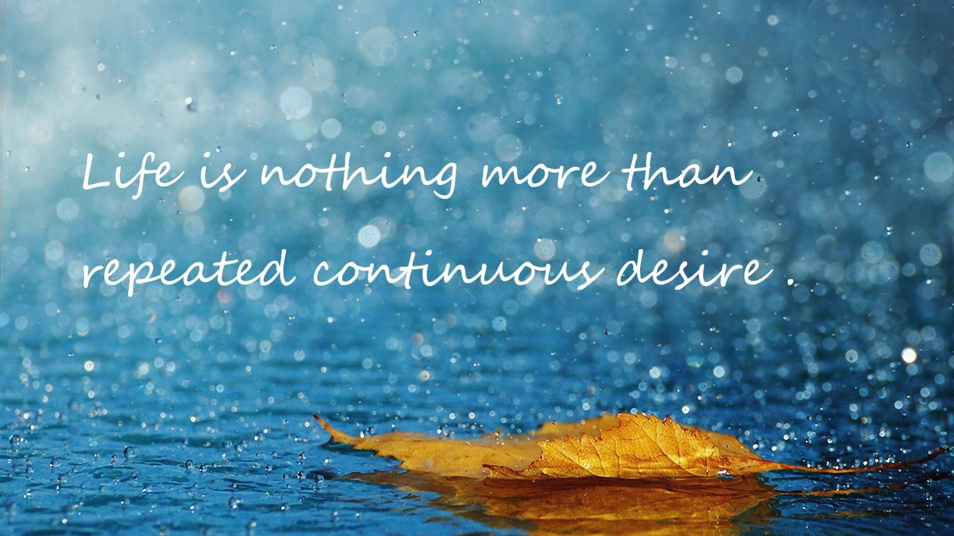 九游9游-公牛队球员因伤禁赛 备战计划受阻，公牛队现状