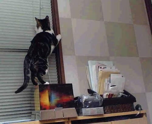 卡塔尔多哈体育俱乐部新赛季展望，2021卡塔尔多哈网球赛程