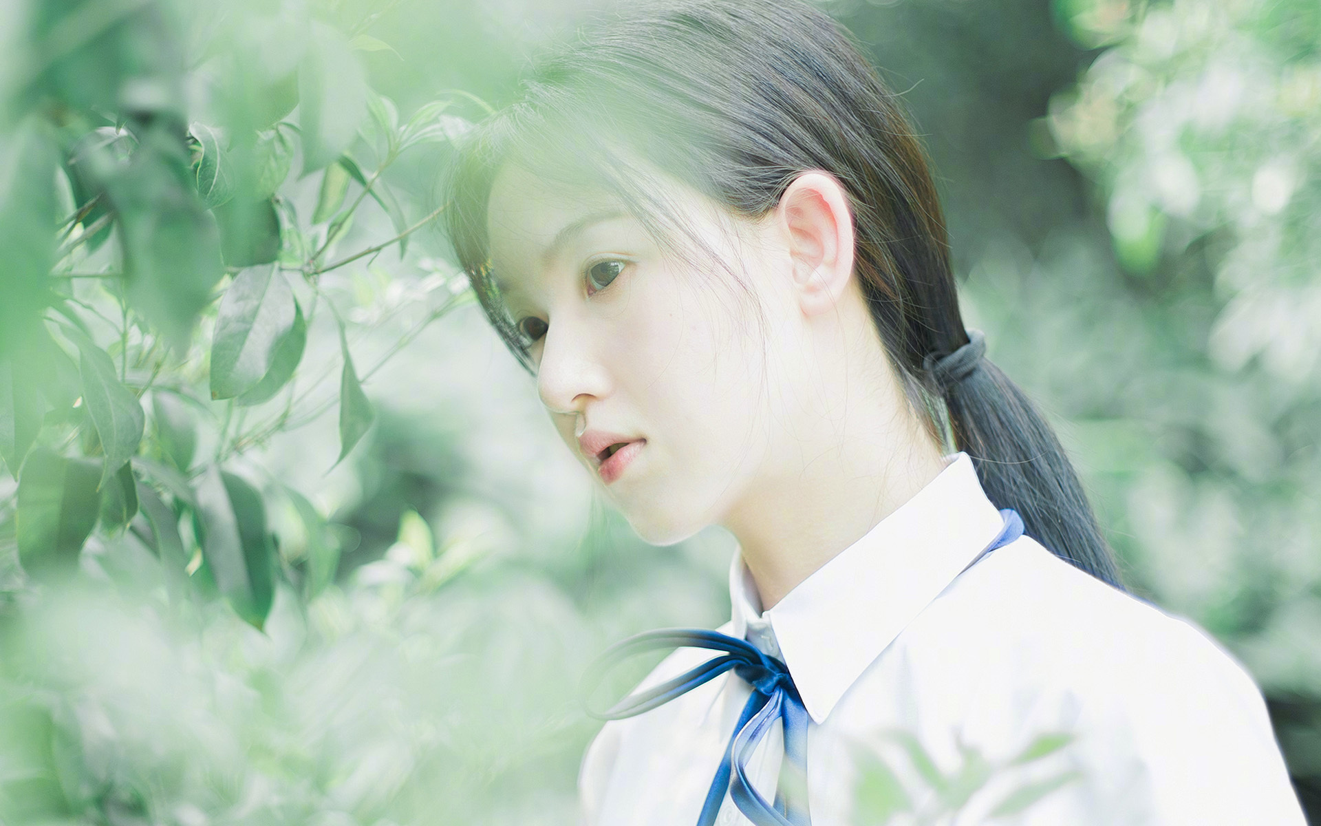 广州恒大主场告捷,卫冕形势乐观,恒大广州队主场