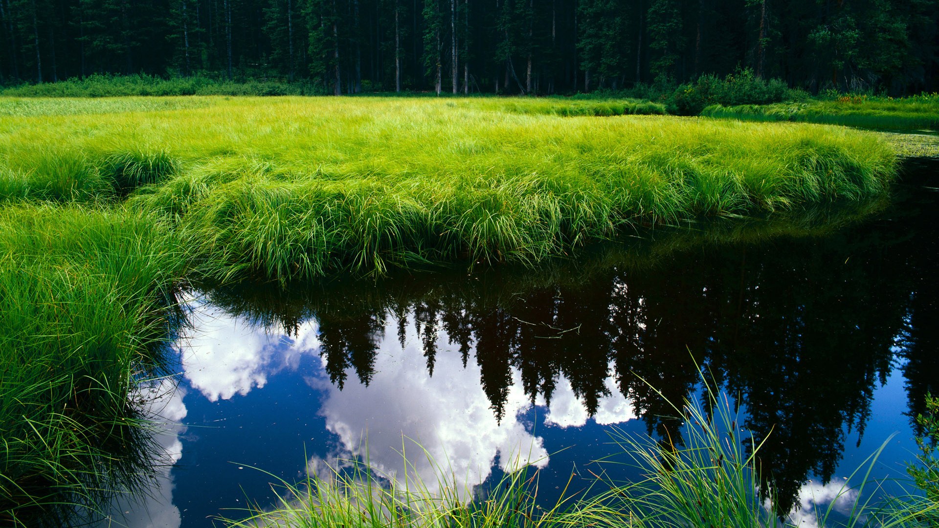 九游下载安装-昆明滇足球队在客场比赛中取得突破性进展，2020年昆明足球比赛