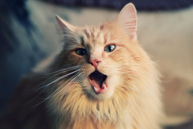 九游登录中心-皇马客场惜败利物浦，遗憾止步半决赛！，皇马对利物浦比赛分析