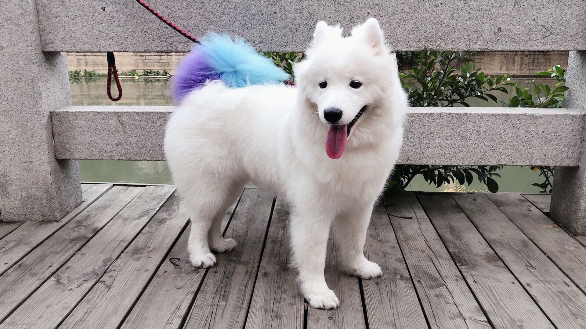 罗马主场大胜亚特兰大，稳固联赛前四位置，罗马主场球场叫什么