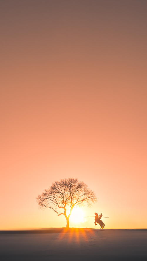 九游-里昂客场失利，历史连胜纪录告终，里昂哪个联赛