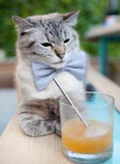 九游APP官网-马德里竞技在西甲联赛中获得亚军，马德里竞技2020-2021