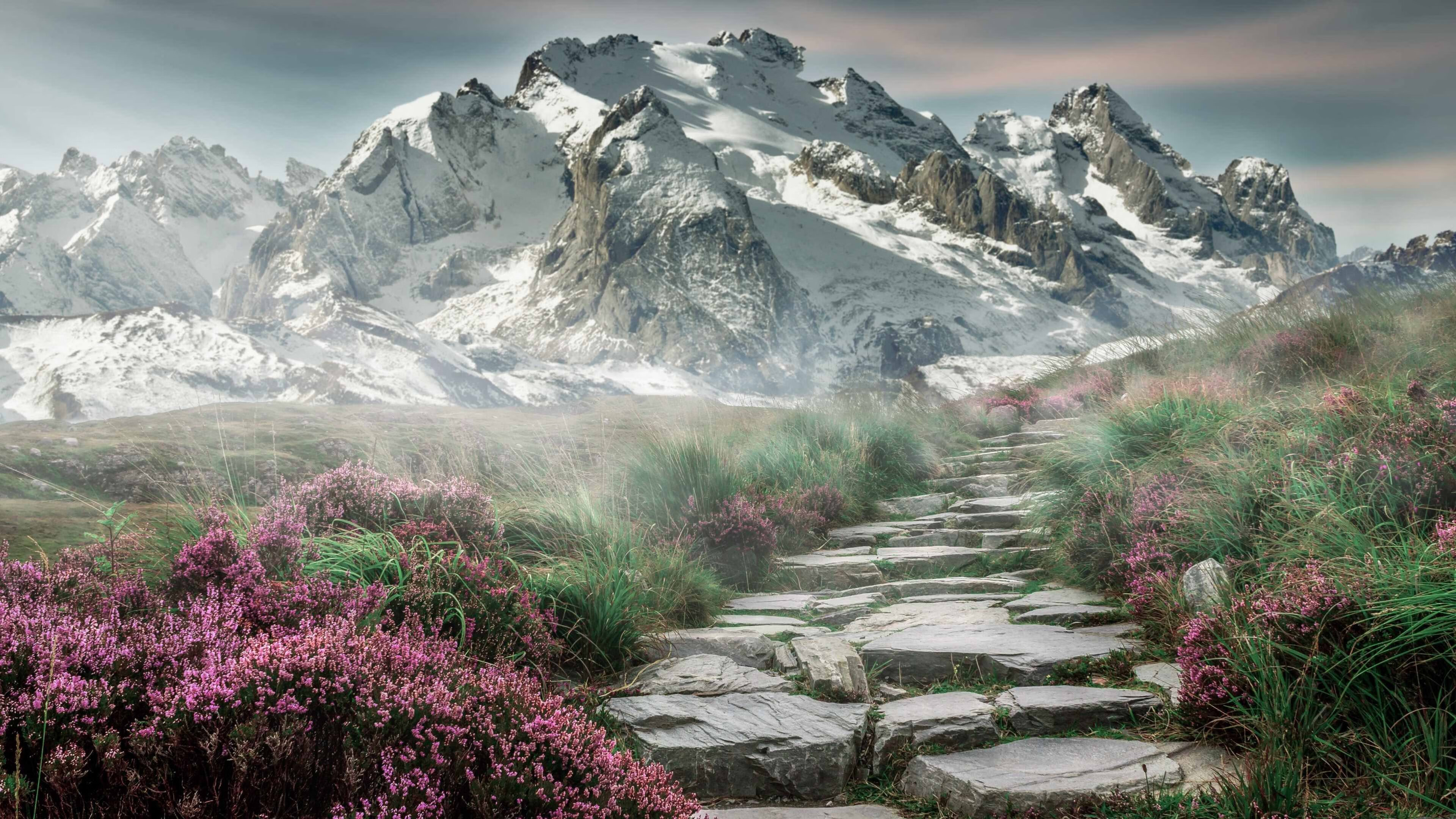 九游下载官网-CBA联盟加强裁判培训 提高执法水准，cba裁判考试流程