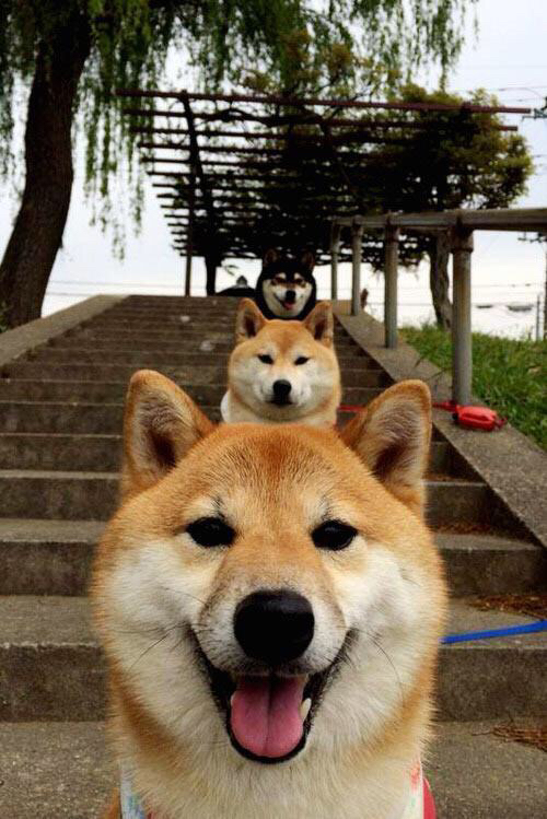 九游娱乐APP-尤文图斯攻守转换更加流畅高效，尤文图斯转出球员