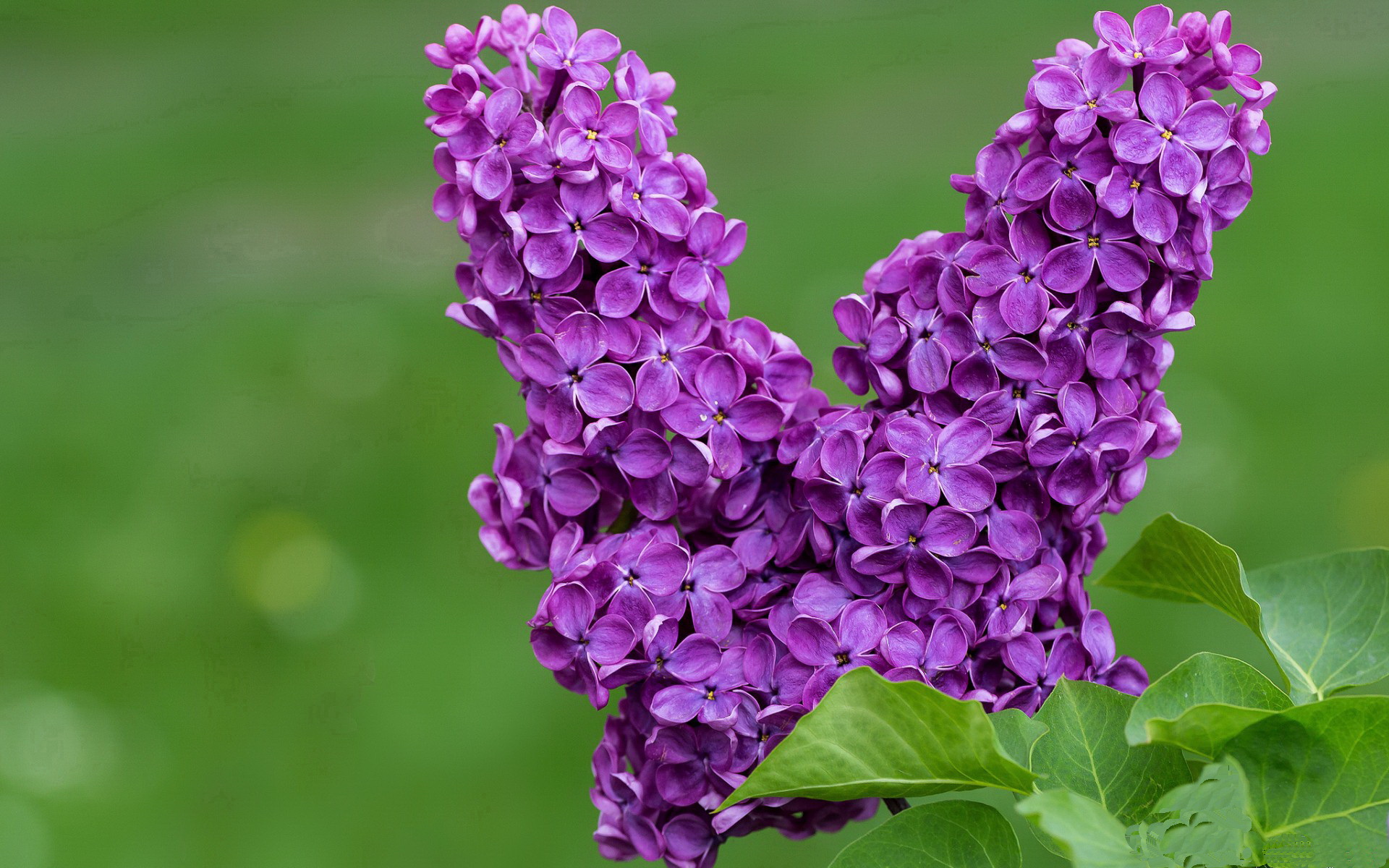 九游网-胜利巩固中游排名，继续保持良好势头。，巩固胜利是什么短语