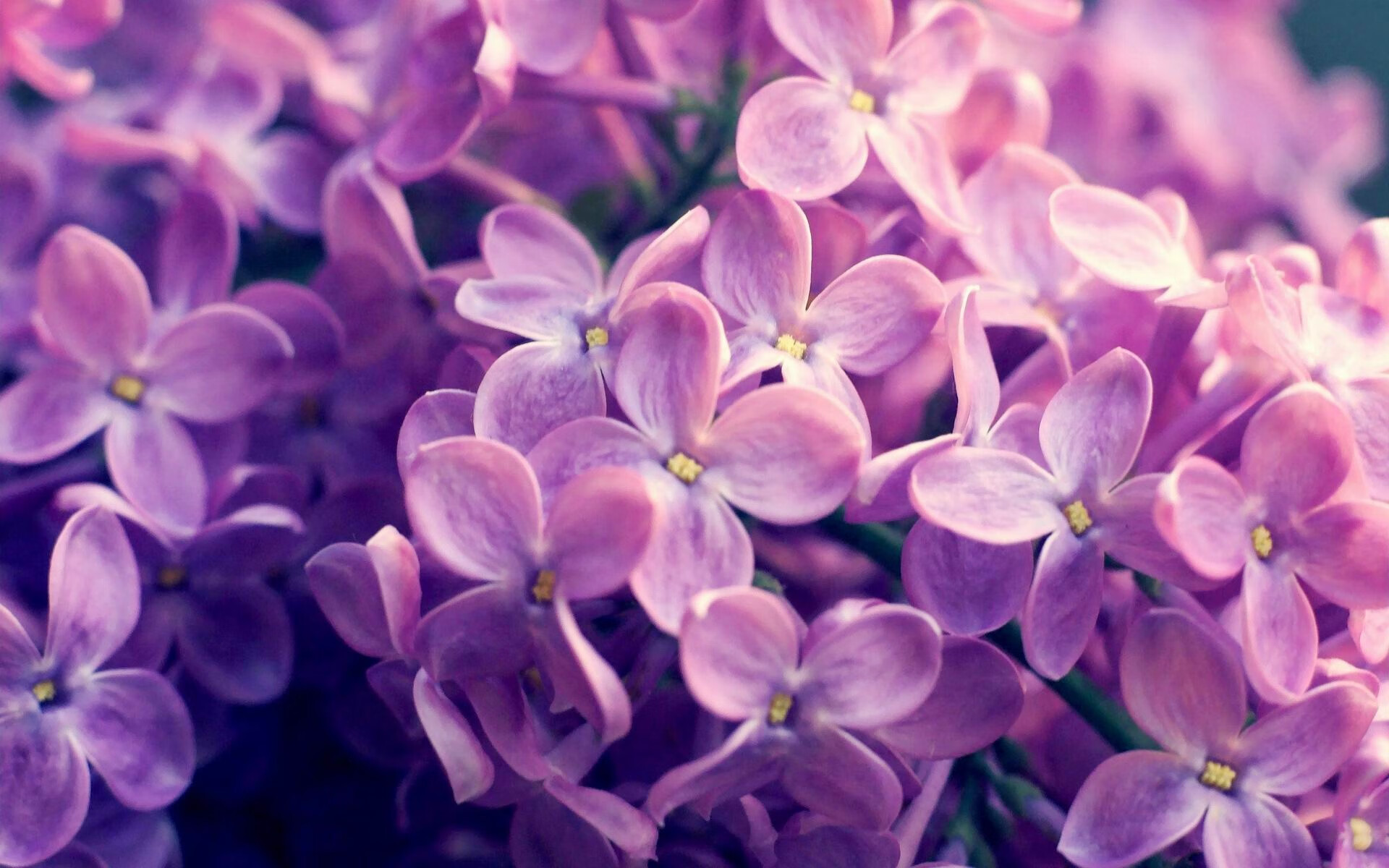 九游娱乐(jiuyou)官方网站-法甲豪门光彩照人：控球战术的完美演绎，法甲 豪门