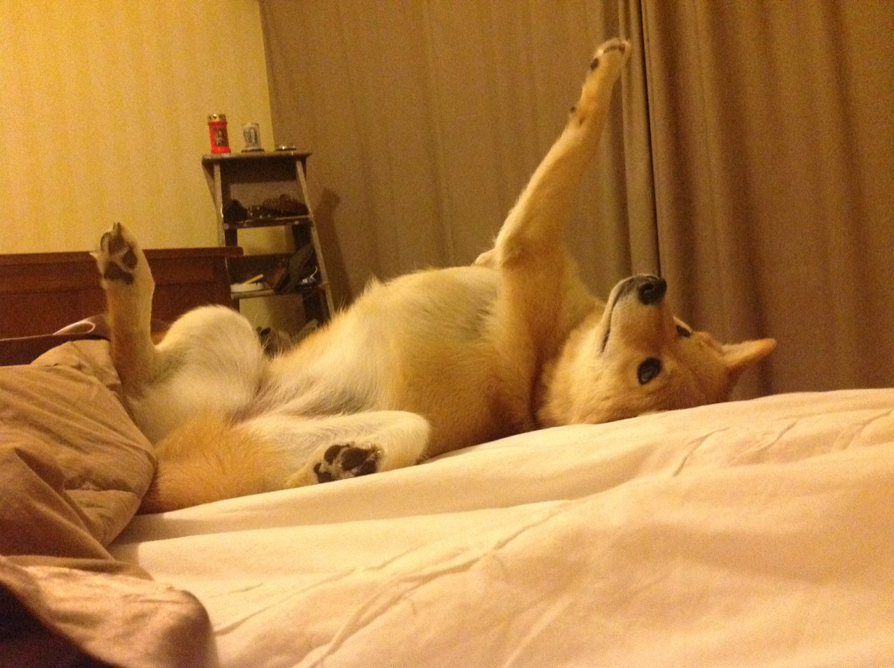 职业联赛推动AI战术建议系统辅助教练制定策略