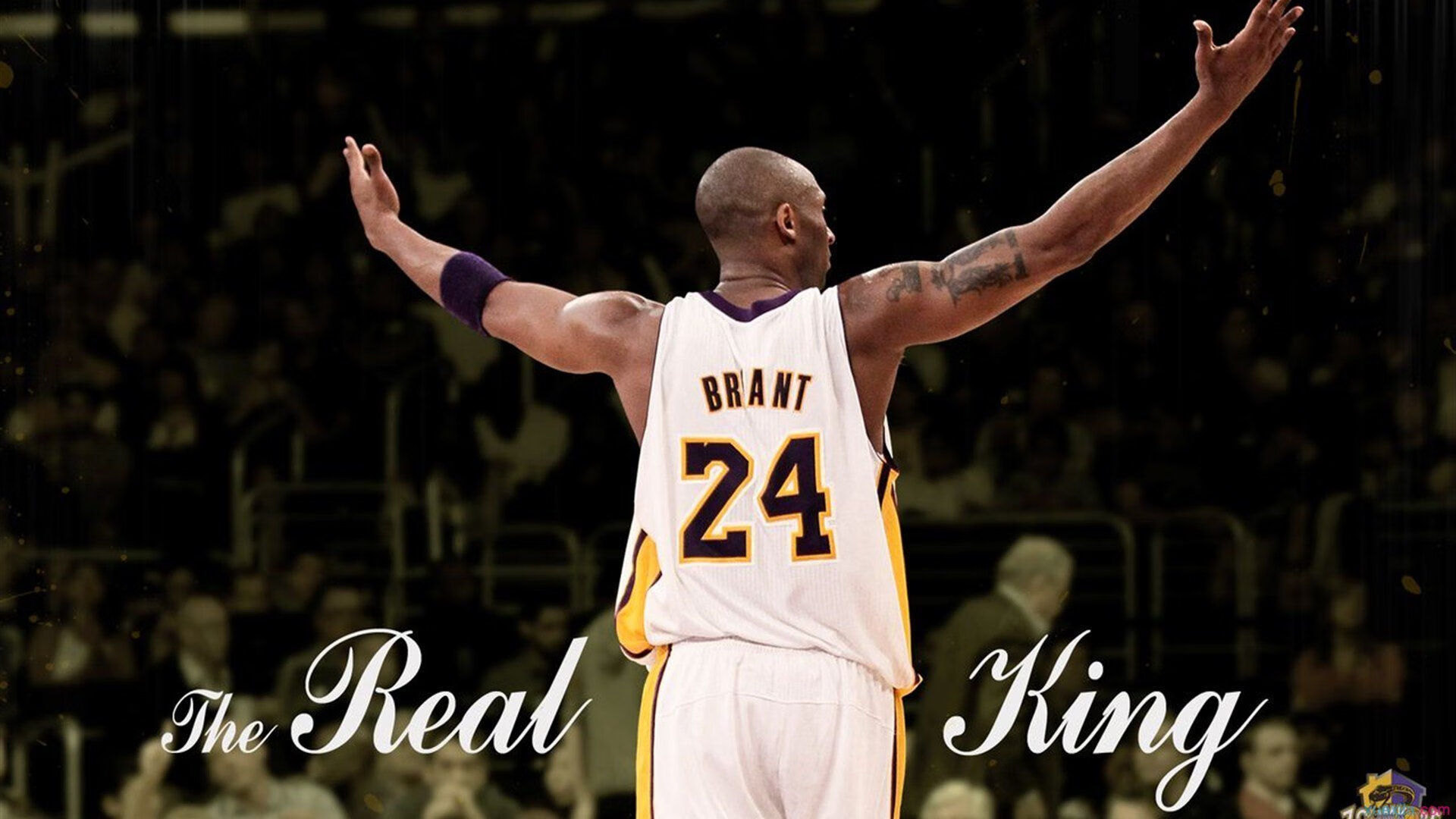 在线直播+互动抽奖：台球赛事粉丝热情高涨，台球直播间