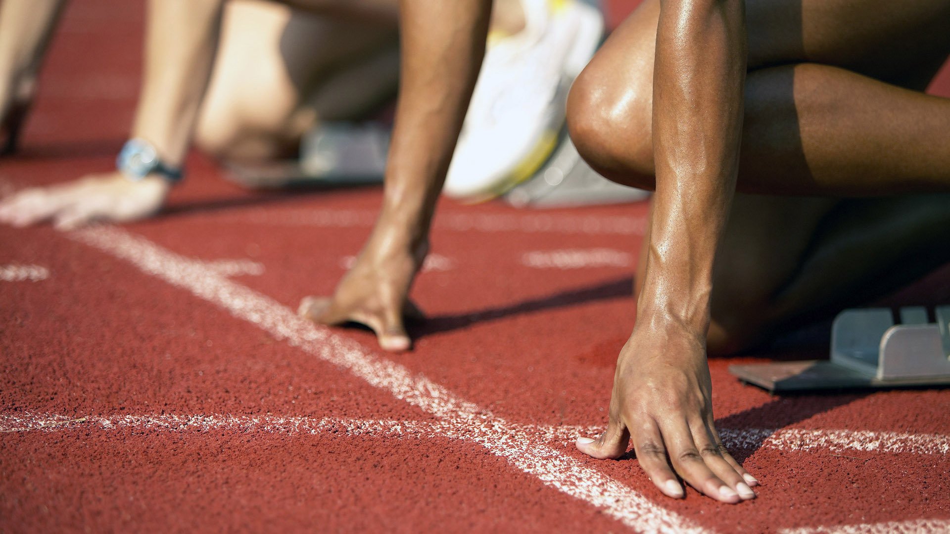 墨西哥马术协会推出马匹健康管理系统，提升马匹福利。，墨西哥马拉松运动员